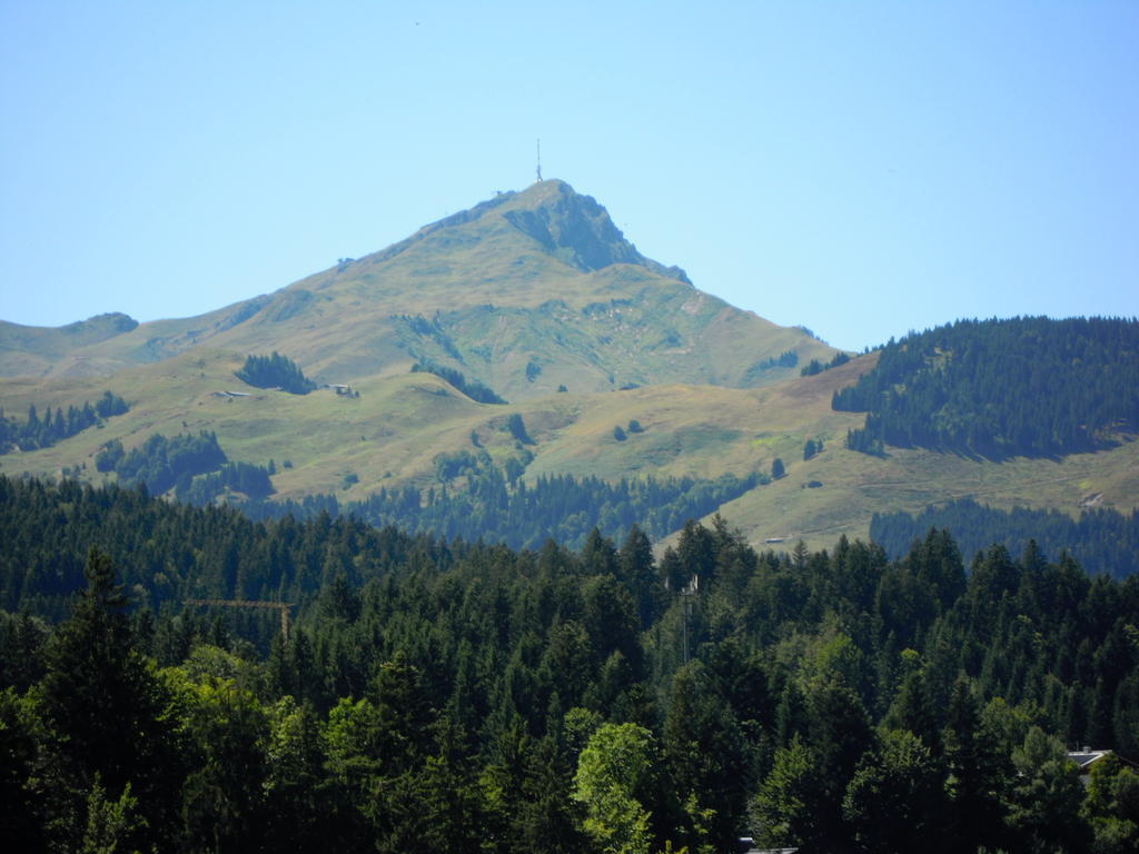 Foidl Simon Daire Fieberbrunn Oda fotoğraf